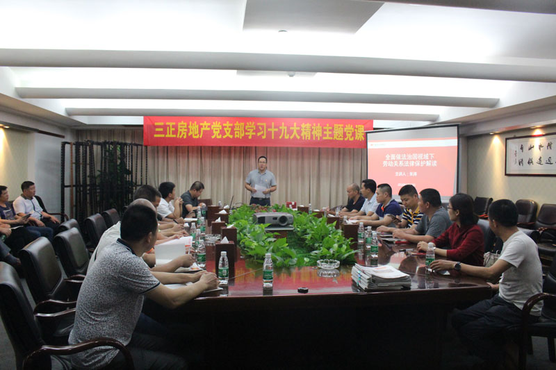 2018年5月20日，三正房地產(chǎn)黨支部學習十九大主題黨課.jpg